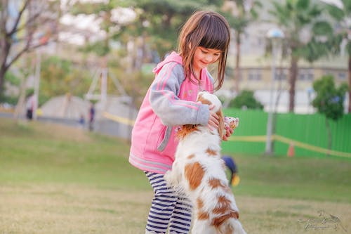 Patinetes infantis: durável e resistente插图