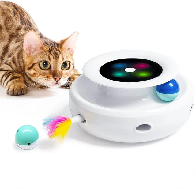 interactive cat toy