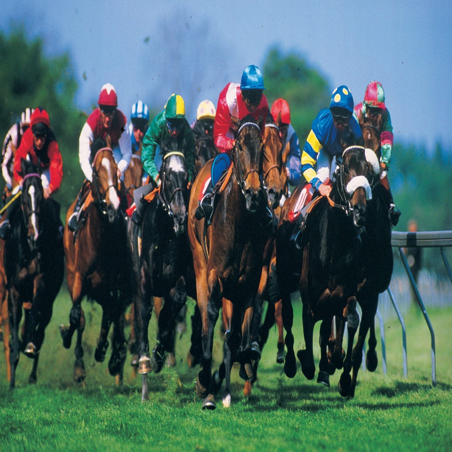 Horse Jockey Clothes: Dressing for the Winner’s Circle