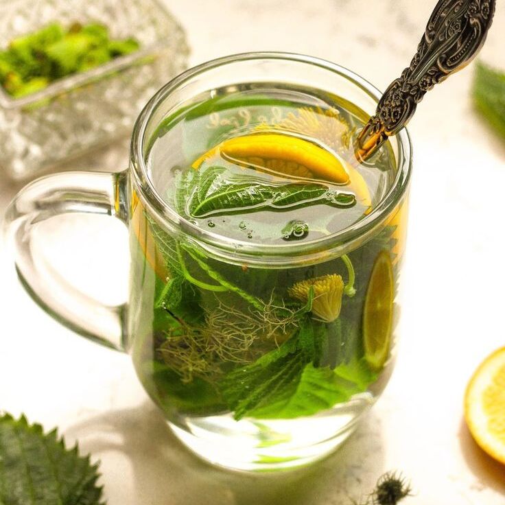 Herbal nettle tea