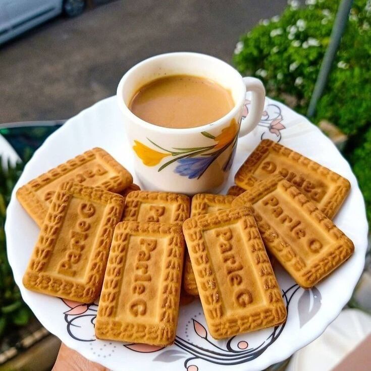 biscuit