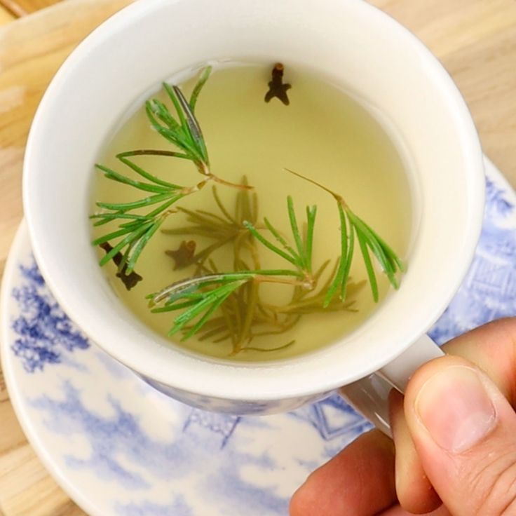 Rosemary tisane